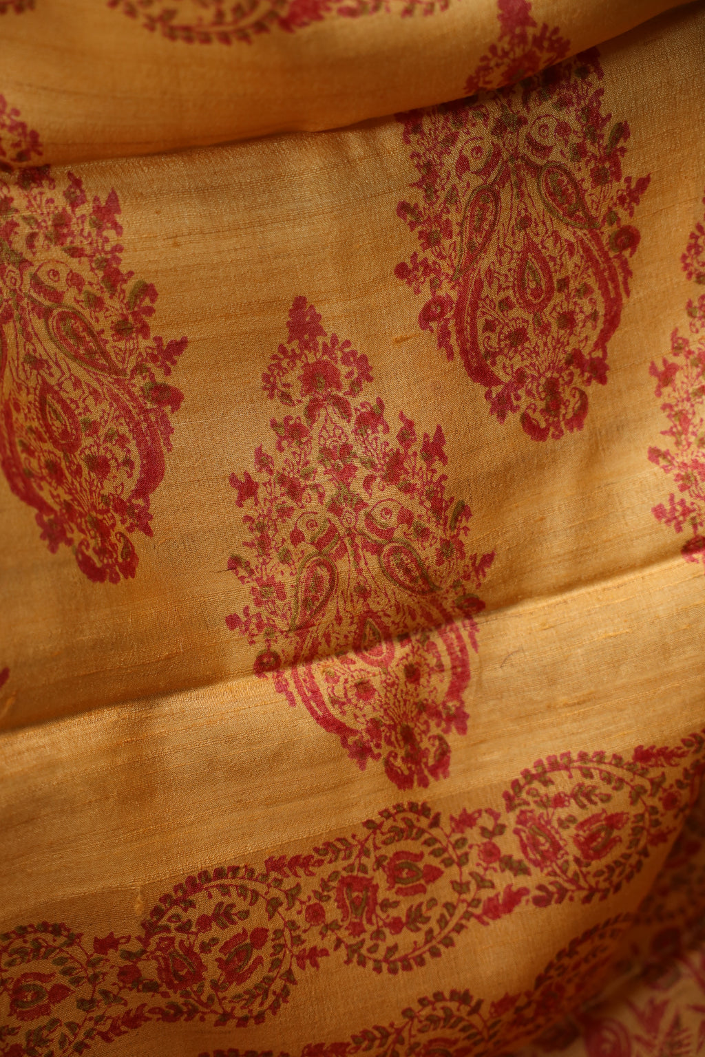 Pakhi Pakhi Ochre and Red Handblock Printed Handwoven Tussar Silk Saree