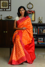 Fanta Flare Handwoven Single Ikkat Silk